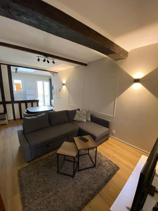 Appartement Charmant Hypercentre Avec Patio Prive Et Parking Orléans Exterior foto